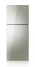 Двухкамерный холодильник SAMSUNG RT45TSPN1